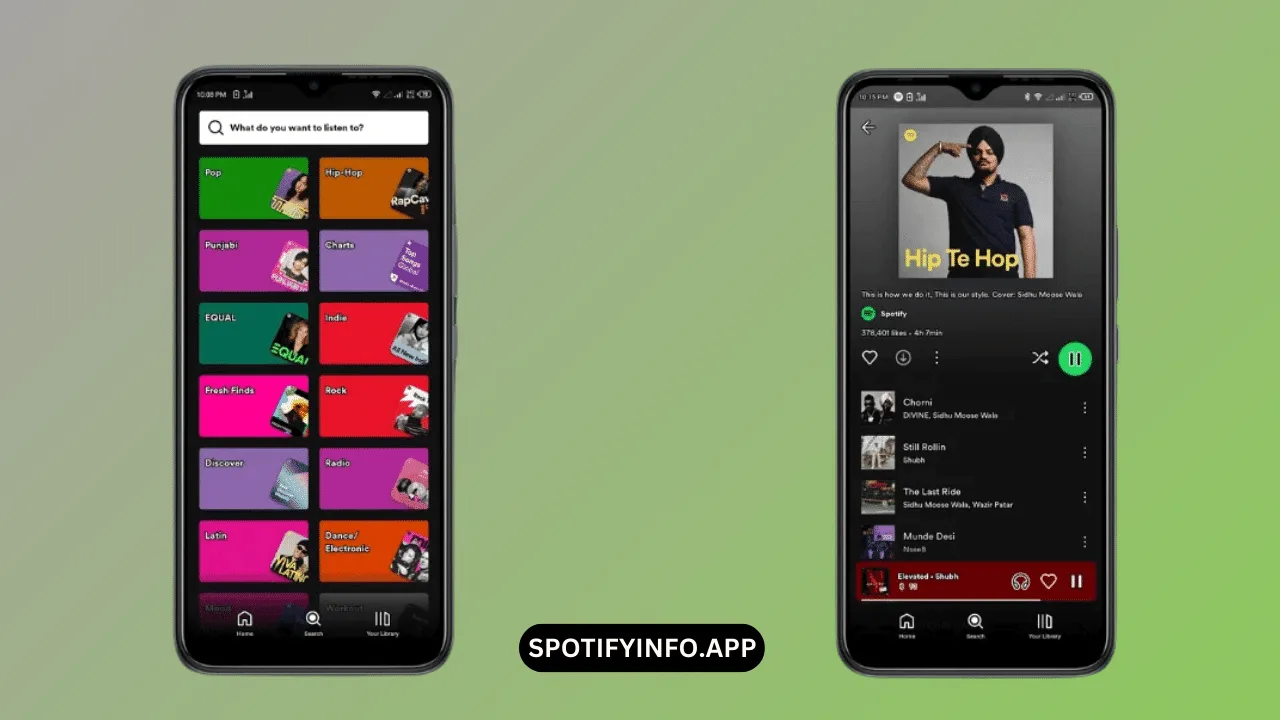 Spotify Image