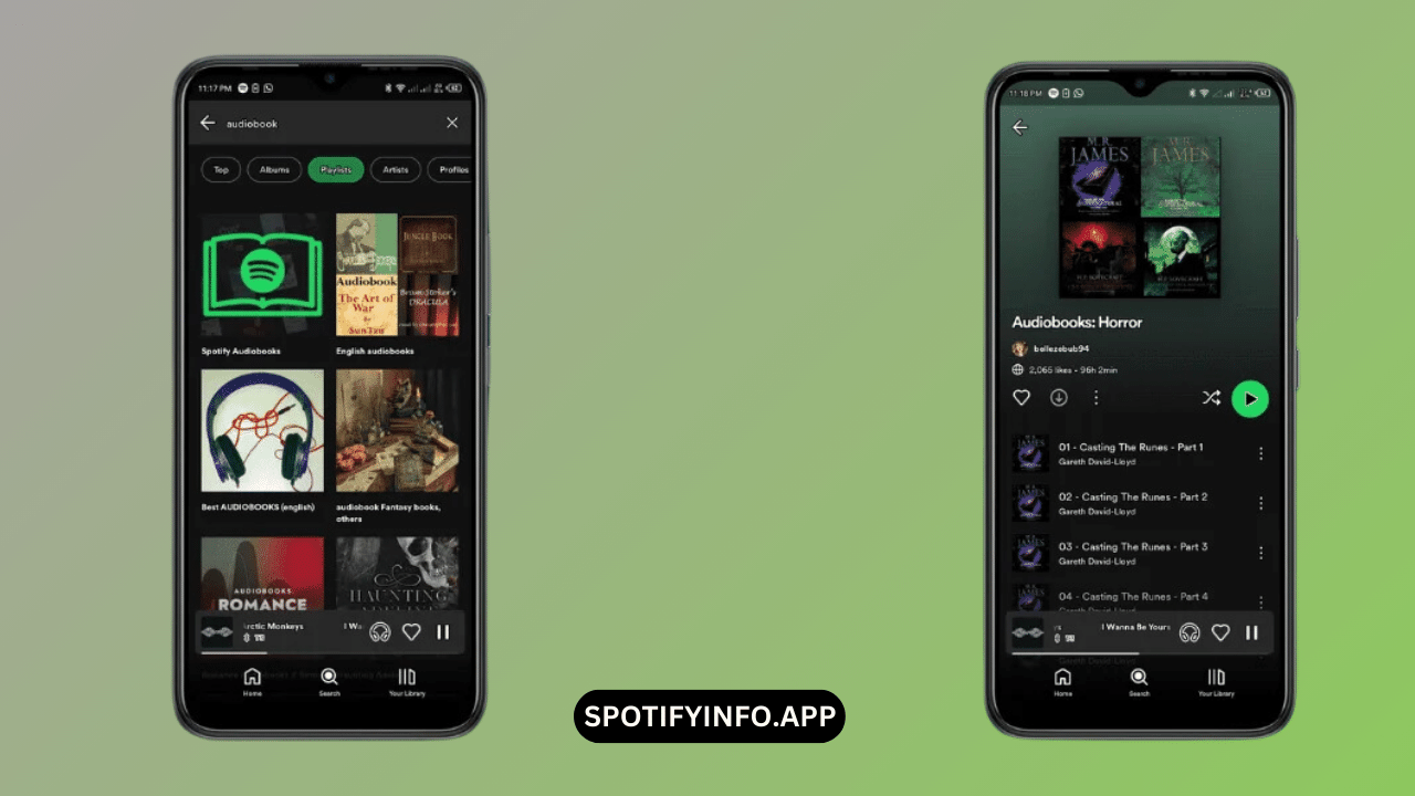 Spotifyinfo.App